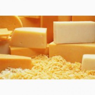 ООО Сантарин, реализует сыры, сырный продукт