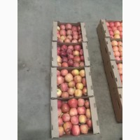 Продам яблоки