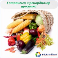 Cемена зерновых, масличных, кормовых, овощных и зеленых культур, картофеля и люцерны