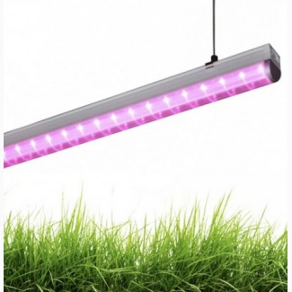 LED свето-диодные фито лампы для теплиц
