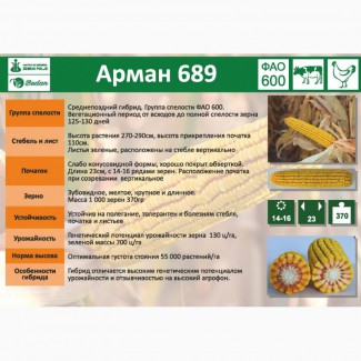 Семена кукурузы Арман-689