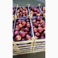 Продаются свежие польские яблоки ( Jonagold, Idared, Idared и т.д.)