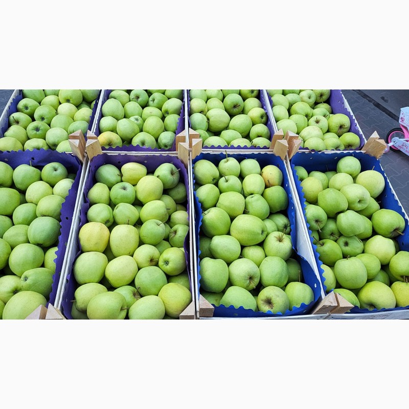 Фото 5. Продаются свежие польские яблоки ( Jonagold, Idared, Idared и т.д.)
