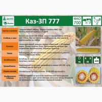 Семена кукурузы КАЗ-ЗП-777