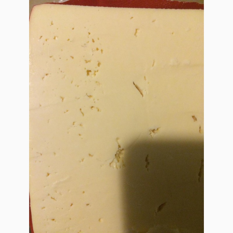 Фото 5. Сыр(сырный продукт)