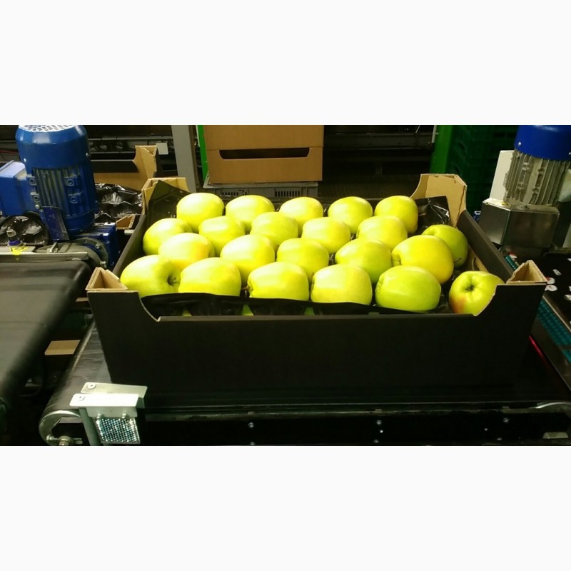 Фото 3. Яблоки оптовая продажа прямо со склада