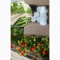 Купить инсектицид Алпайн (динотефуран) в Казахстане