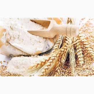 Пшеничная Мука (Без ГМО)