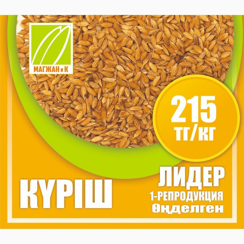 Фото 4. Оптом семена риса, люцерны и пшеницы