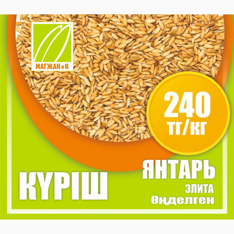 Фото 8. Оптом семена риса, люцерны и пшеницы