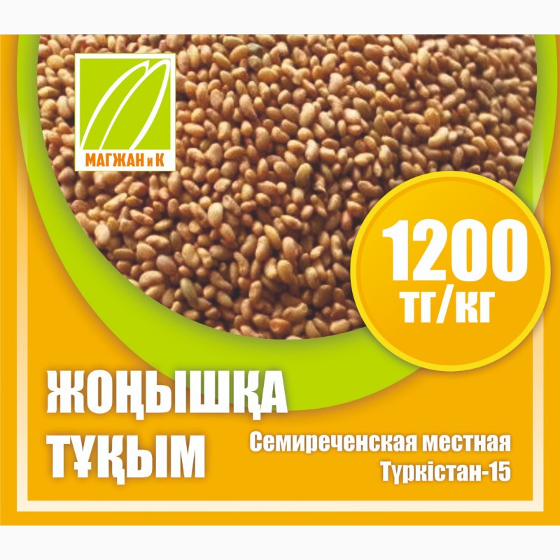 Фото 2. Оптом семена риса, люцерны и пшеницы