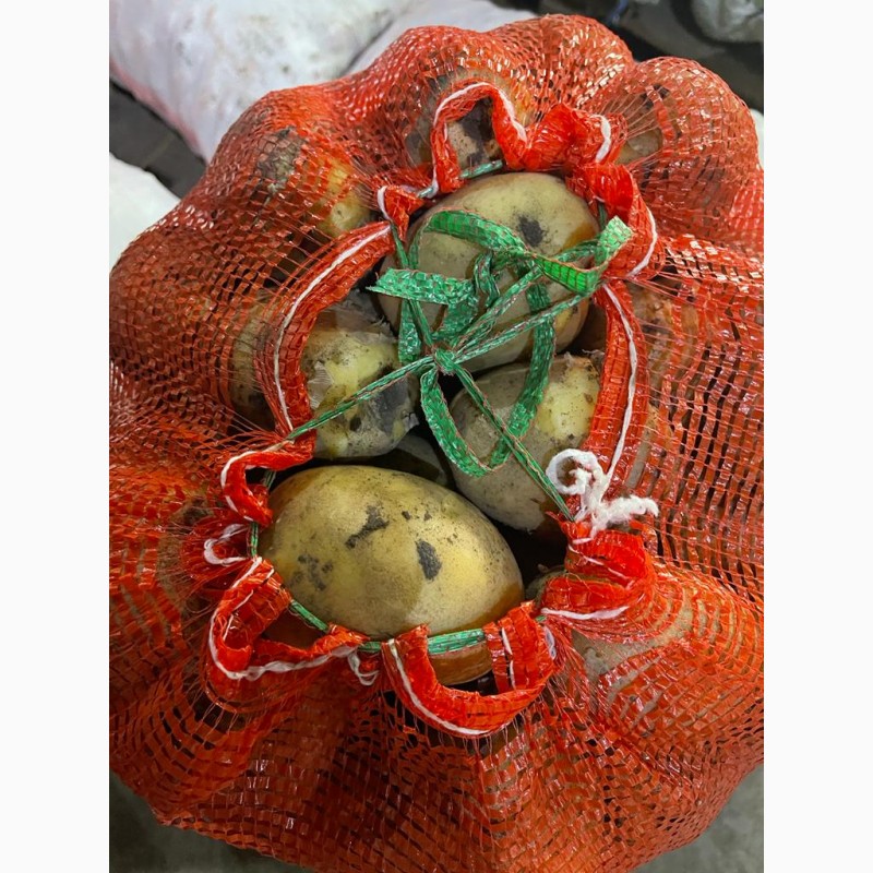 Фото 10. Реализуем овощи (картофель, морковь, свекла, лук) оптом по Казахстану
