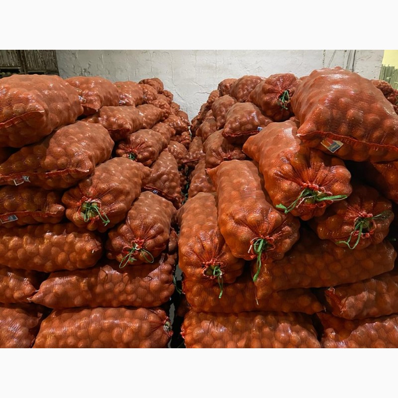 Фото 12. Реализуем овощи (картофель, морковь, свекла, лук) оптом по Казахстану