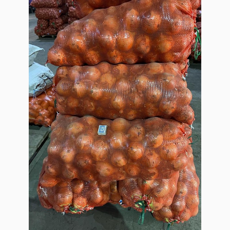 Фото 13. Реализуем овощи (картофель, морковь, свекла, лук) оптом по Казахстану