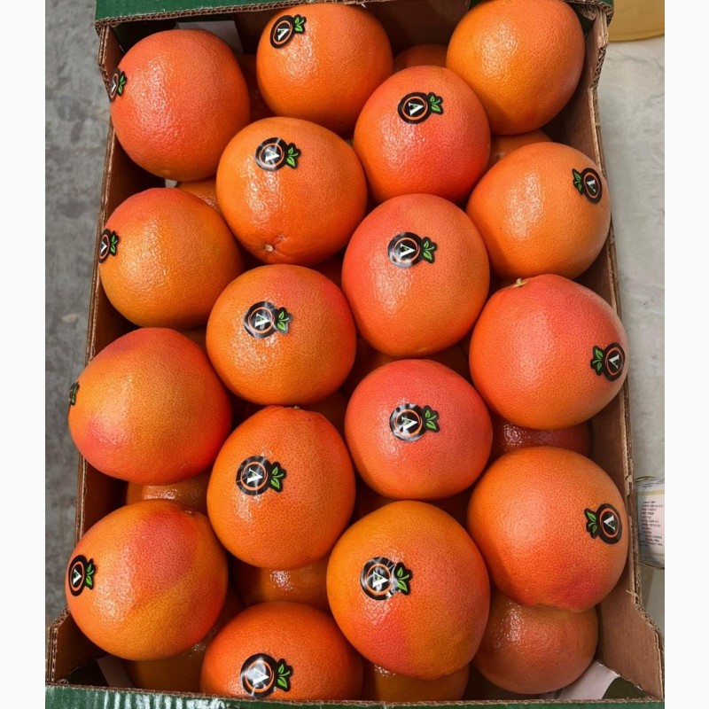 Фото 5. Апельсин из Турции экспорт