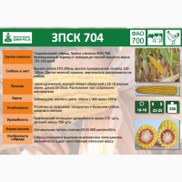 Семена кукурузы ЗПСК-704