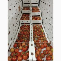 Продаем томаты сорт мерлис ветка