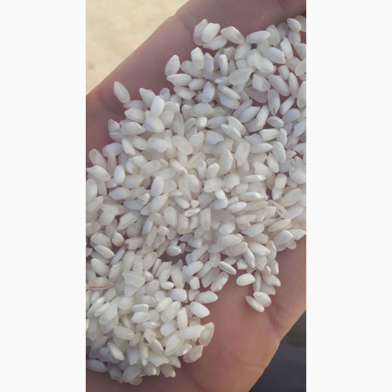 Переработка и реализация разных сортов риса