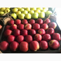 Оптовые продажи польских яблок от производителя