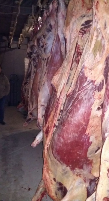 Фото 3. Продам телятина говядина баранина в тушах