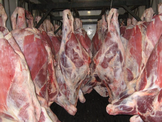 Фото 5. Продам телятина говядина баранина в тушах