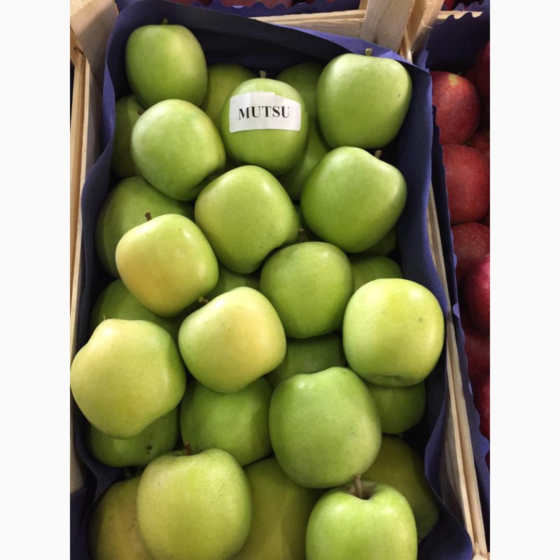 Фото 4. Продаем качественные польские яблоки, фрукты