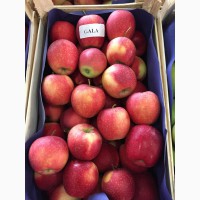 Продаем качественные польские яблоки, фрукты