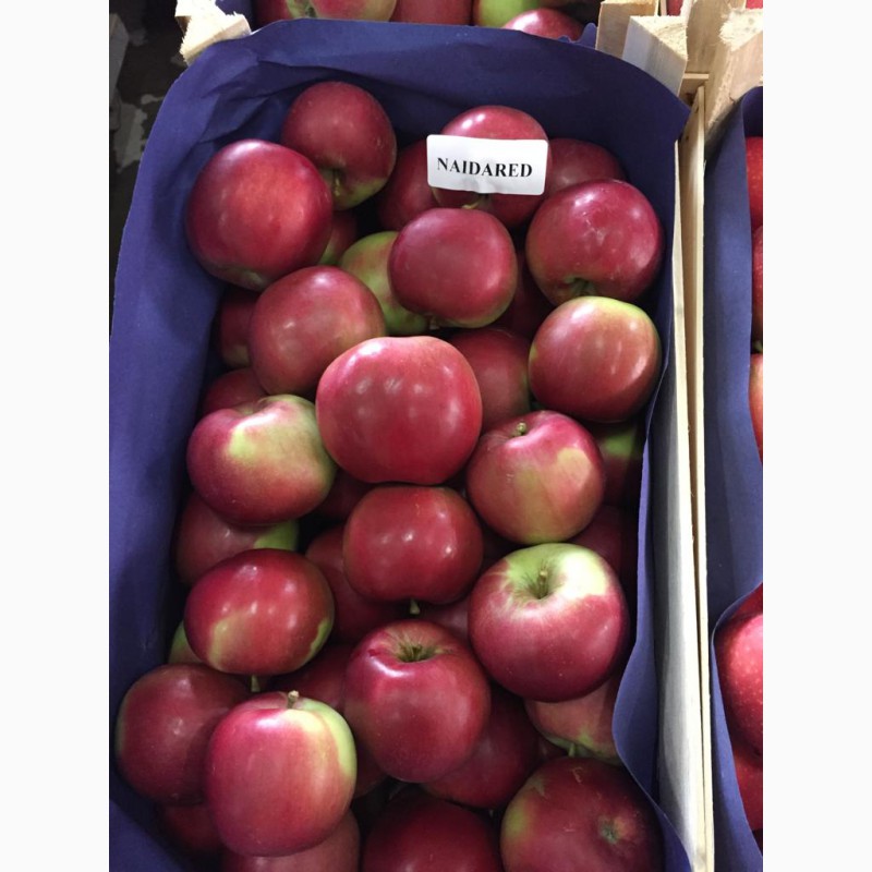 Фото 7. Продаем качественные польские яблоки, фрукты