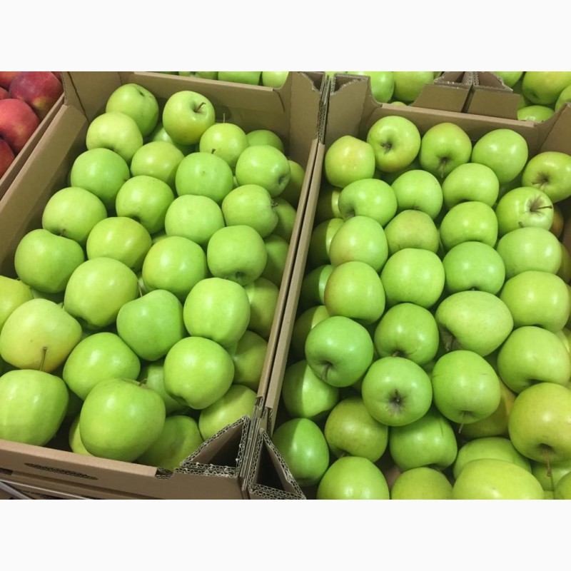 Фото 6. Польское яблоко от производителя La-Sad