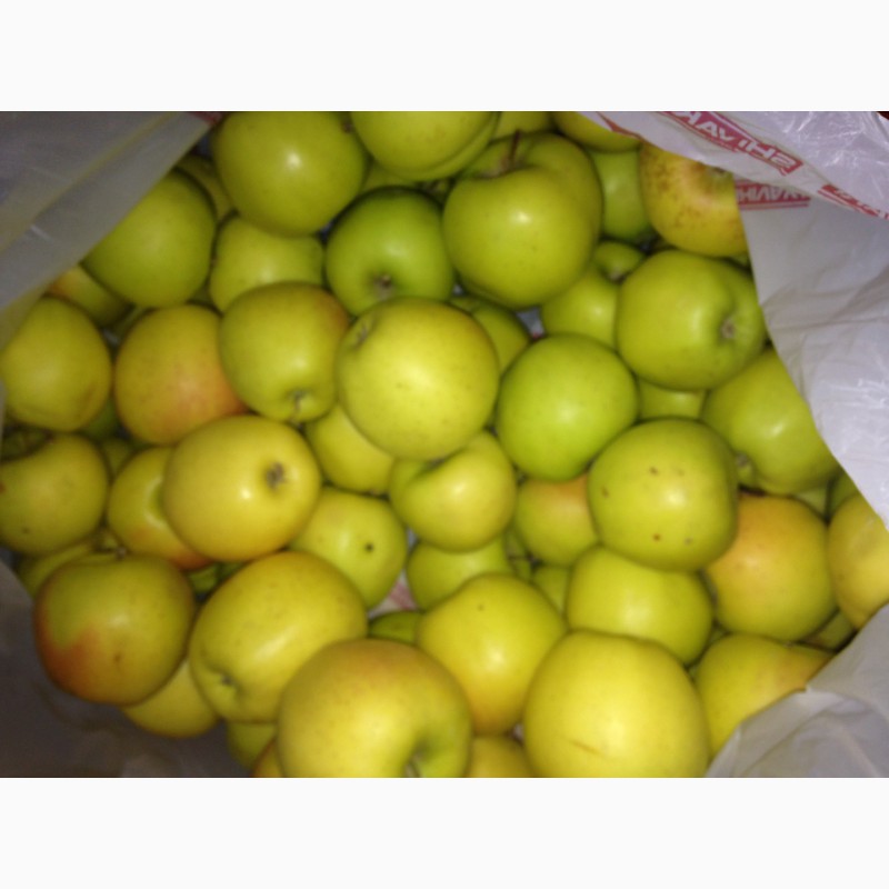 Фото 3. Продам яблоки (сорт Golden Delicious)