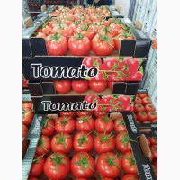 Продаём помидоры оптом из Турции
