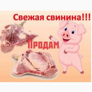 Продажа свинины Алматы/Алм.область 1100тг/кг