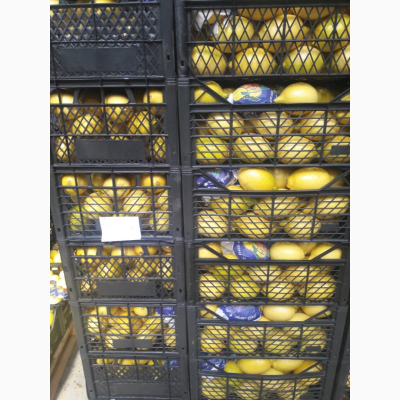 Фото 7. Продаём лимоны оптом из Турции