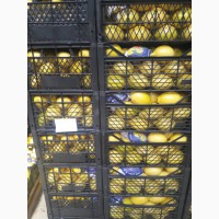 Продаём лимоны оптом из Турции