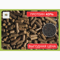 Шрот рапсовый (АСВ - 43-44%) во всех городах РК в наличии