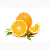 Продаём апельсины оптом из Турции