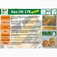 Семена кукурузы КАЗ-ЛК-178