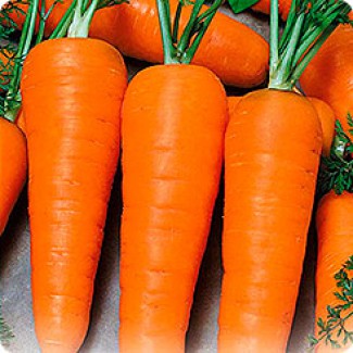 Куплю Морковь