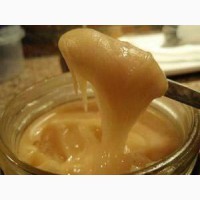 Фото 3. Продам мед из Узбекистана от поставщика