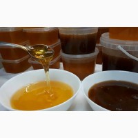 Продам мёд оптом и в розницу