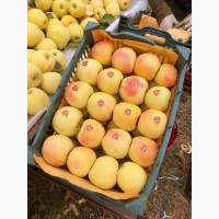 Продам яблоки из Ирана