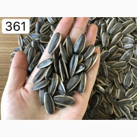 Семена подсолнечника / семечки / тип361/363