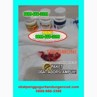 Jual Obat Penggugur Kandungan Cytotec 400 Mcg 08996663399 Di Bandung