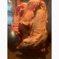 Продам мясо тушки ОПТ и розница телятина баранина говядина курица
