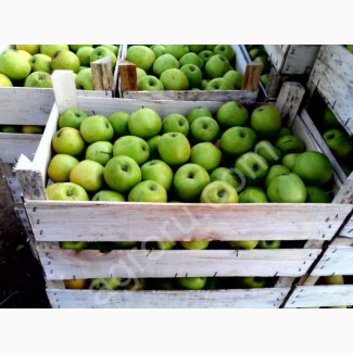 Яблоки Азербайджанские 250 Тенге