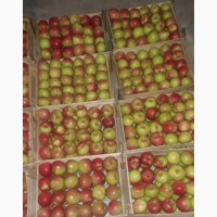 Яблоки с доставкой на дом