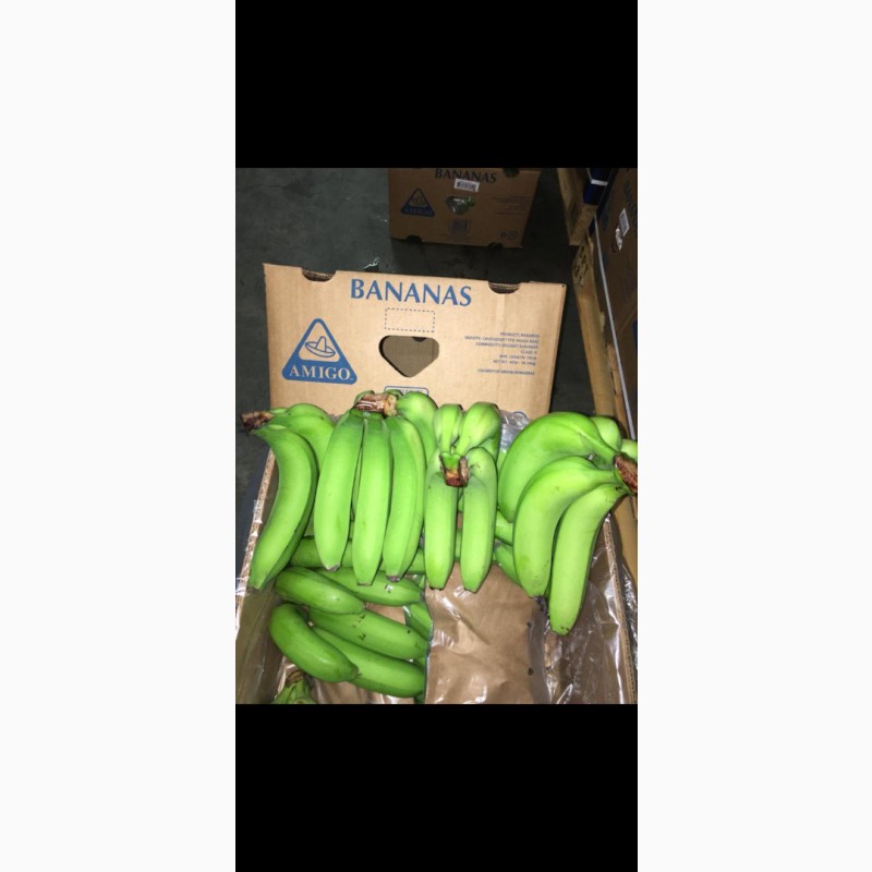 Фото 2. Продам бананы