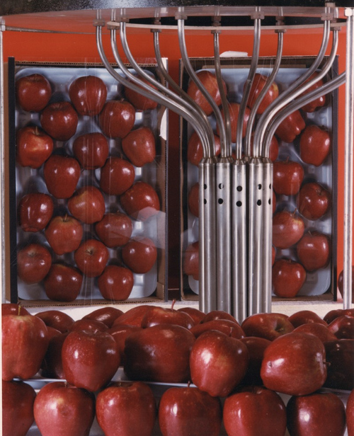 Фото 15. Любые польские яблоки, фрукты, овощи