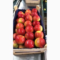 Продам яблоки Польша
