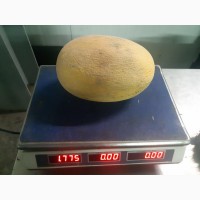 Продам арбуз с холодильника овощи и фрукты от поставщика с Кыкгызтанаа